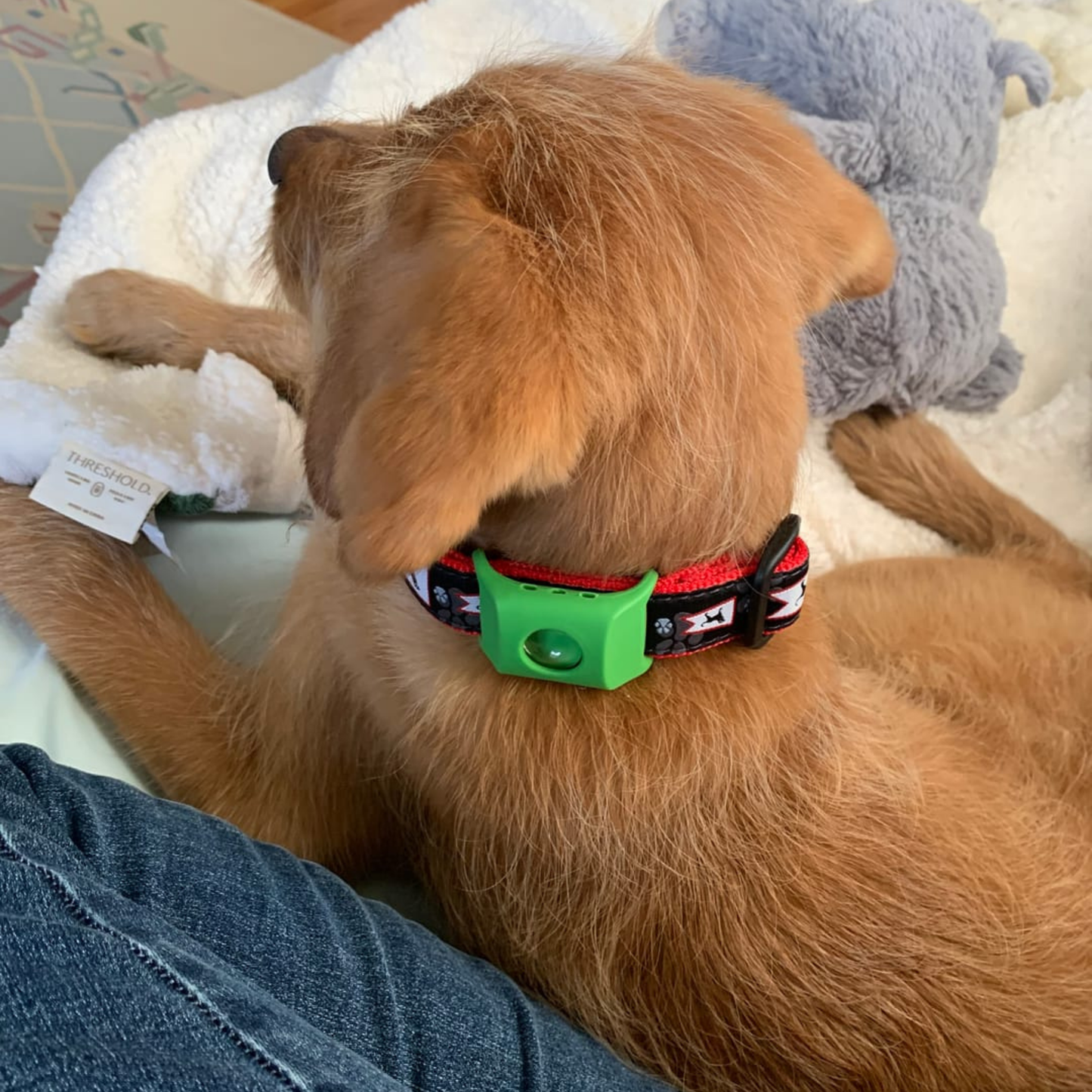 FleaFree™ – Collier antipuces et antitiques naturel pour chiens, protection de 12 mois