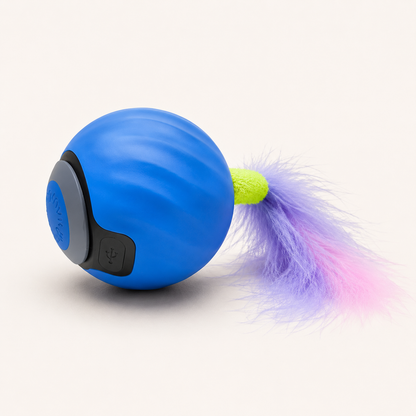 Balle avec Queue Interactive pour Chat
