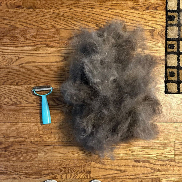 Brosse Central Québec Pour Chats et Chiens