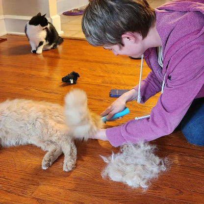 Brosse Central Québec Pour Chats et Chiens