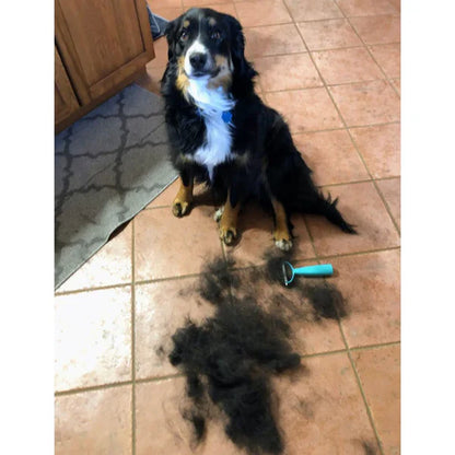 Brosse Central Québec Pour Chats et Chiens