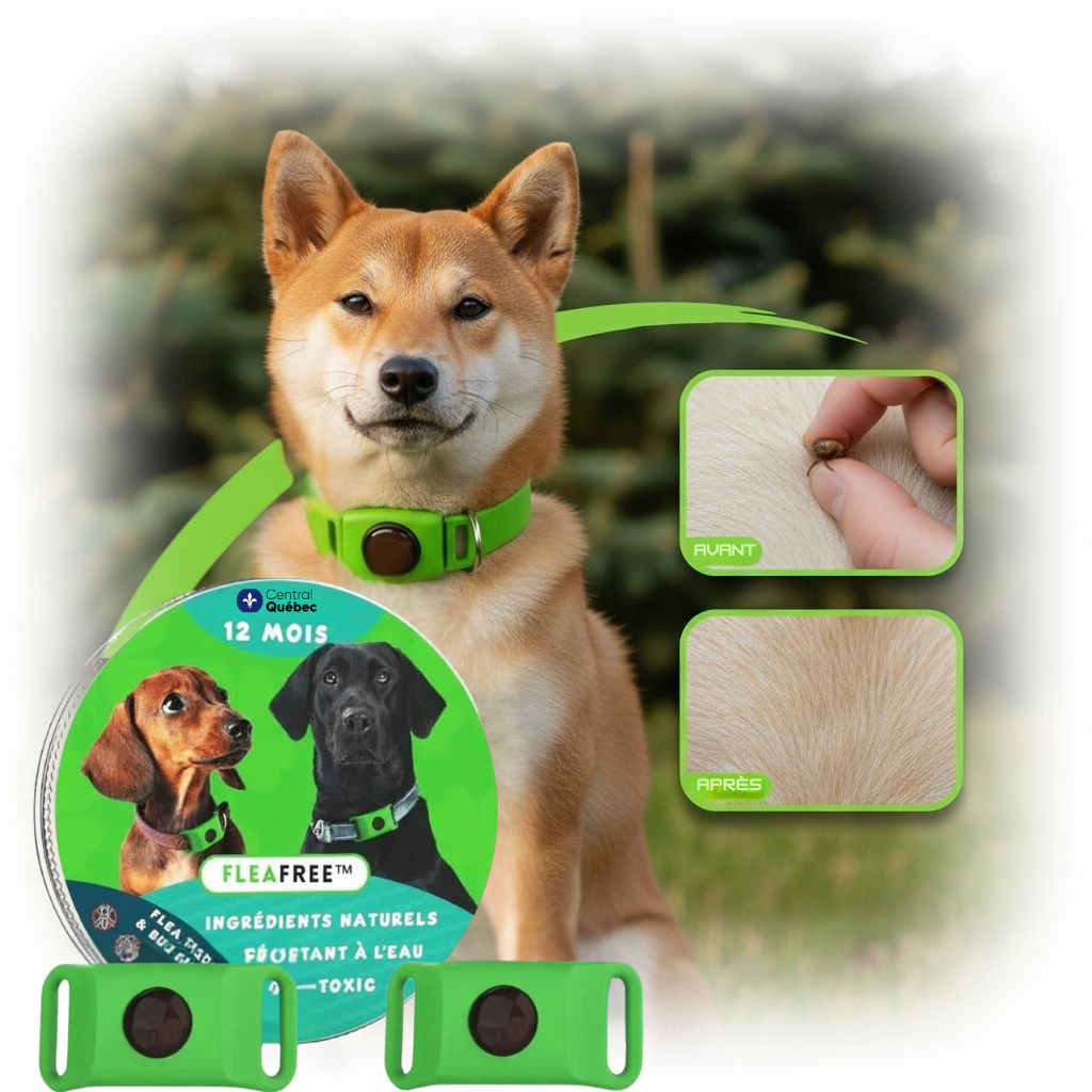 FleaFree™ – Collier antipuces et antitiques naturel pour chiens, protection de 12 mois