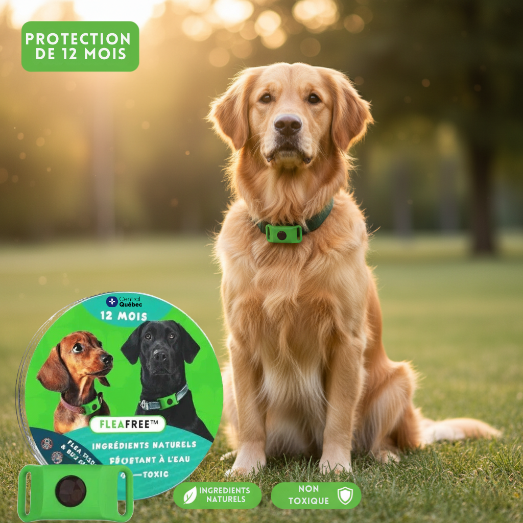 FleaFree™ – Collier antipuces et antitiques naturel pour chiens, protection de 12 mois