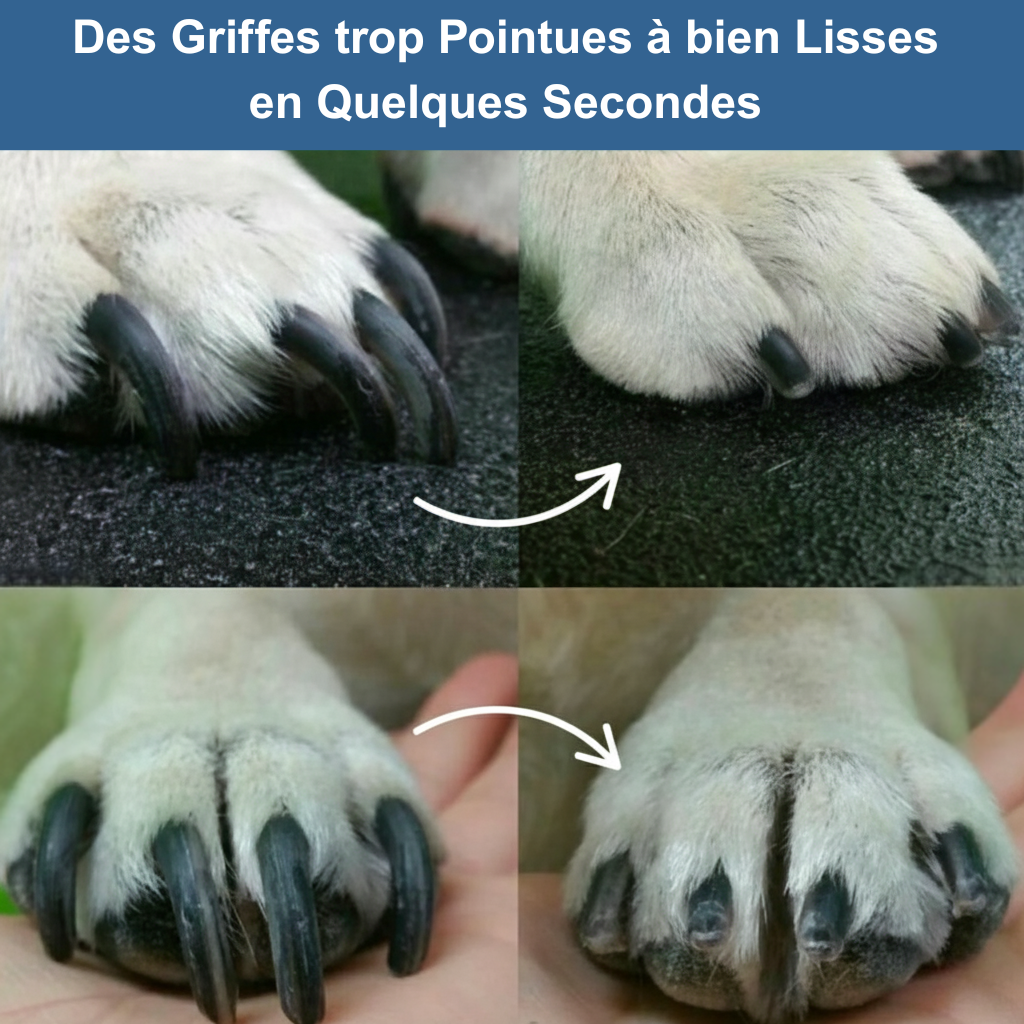 Coupe-Griffes 2-en-1 Central Québec