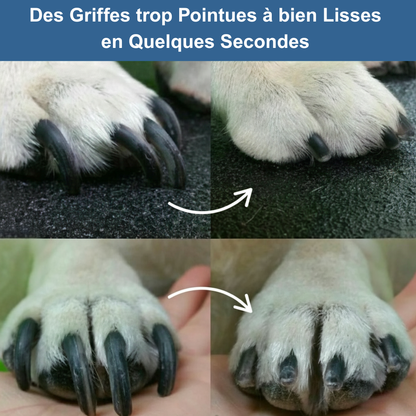 Coupe-Griffes 2-en-1 Central Québec