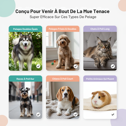 Brosse Central Québec Pour Chats et Chiens