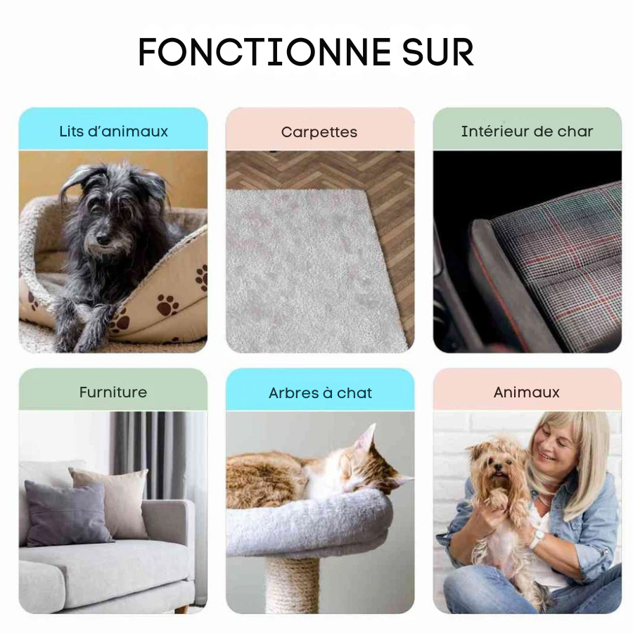 Central Québec Kit Zéro Poils™