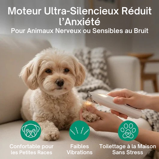 Tondeuse Précision™ – Central Québec