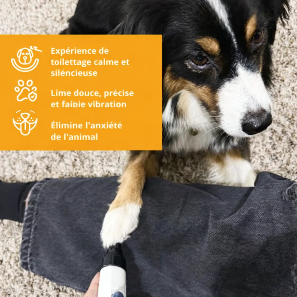 TailleGriffe™ – Central Québec