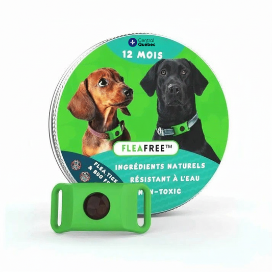 FleaFree™ – Collier antipuces et antitiques naturel pour chiens, protection de 12 mois