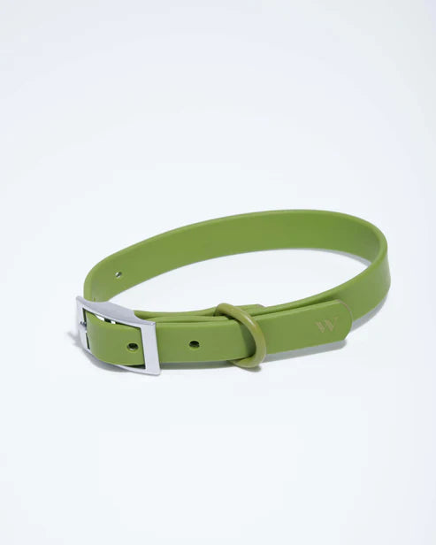 Vert ✨ Édition Limitée
