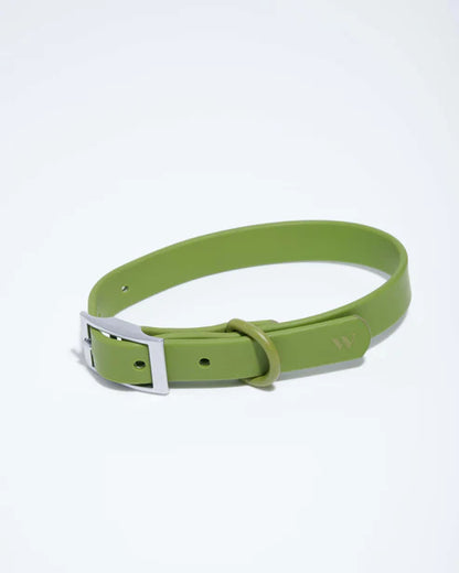 Vert ✨ Édition Limitée