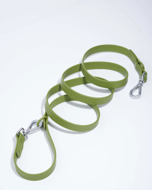Vert ✨ Édition Limitée