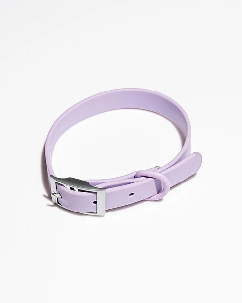 Pastel