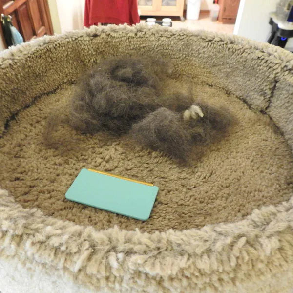 Kit De Départ Fur-Free Efficace — Central Québec Mini, Pro et Xtra